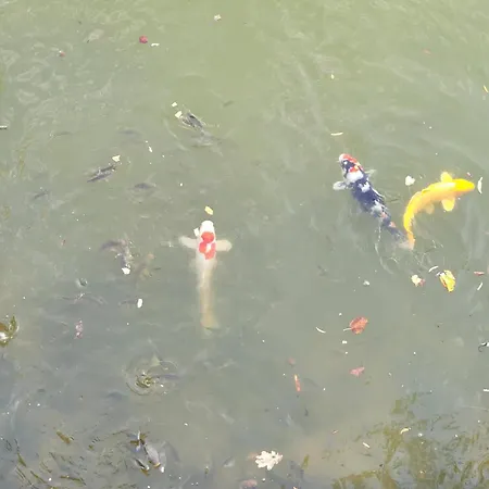 Le Nid De L'erdre La Poueze