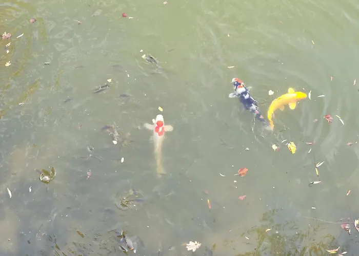 Le Nid De L'erdre La Poueze