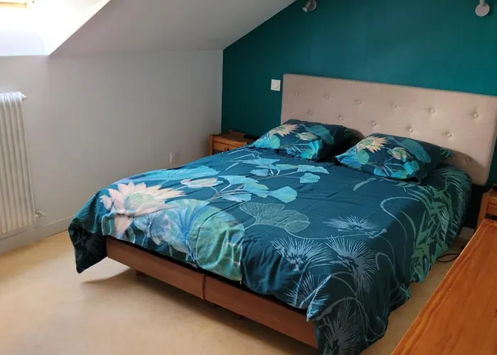 Le Nid De L'erdre Pensjonat 3*