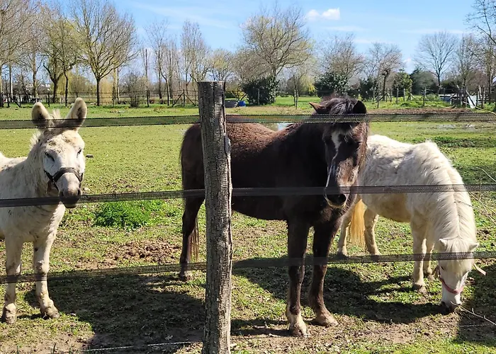 Le Nid De L'erdre 3*